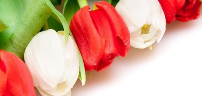 Márciusi feladatterv